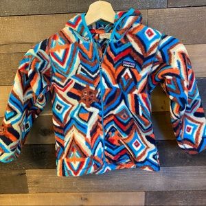 Patagonia Synchilla Hoody